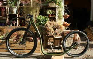 Tretroller DOXTOR F122 